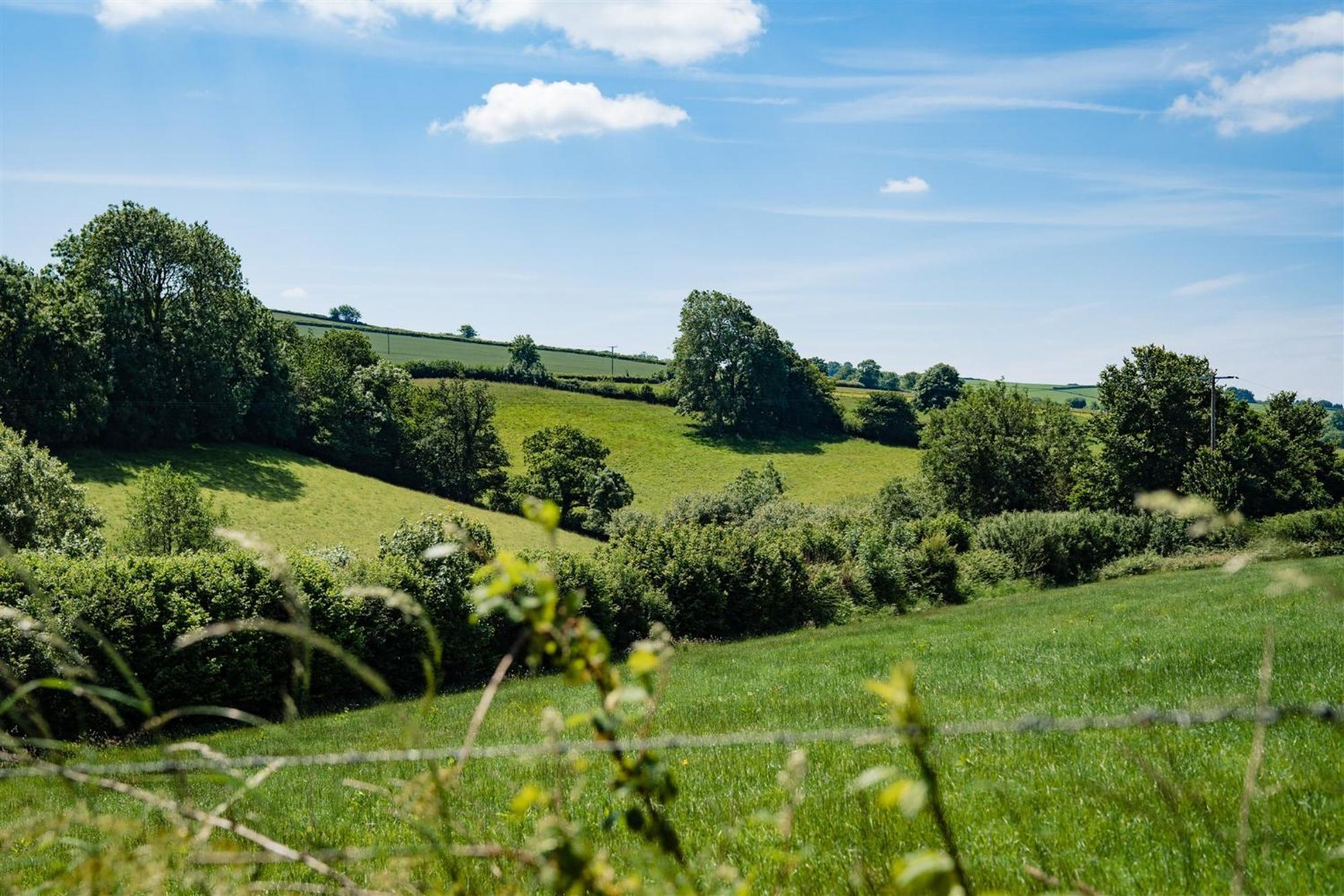 Enchanted Retreats At West Ford Devon South Molton Room photo