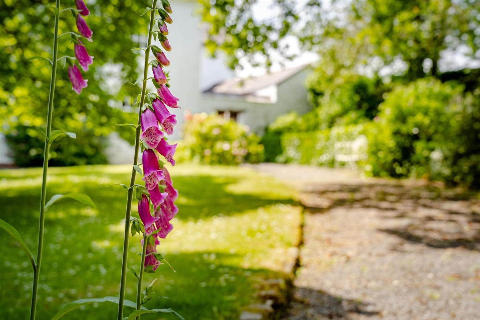 Enchanted Retreats At West Ford Devon South Molton Room photo
